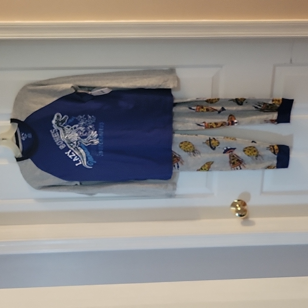 Dex lazy bones blue and gray pajama set 2 piece xl/14